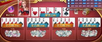 开云棋牌娱乐平台策略智趣,轻松开局